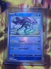Suicune