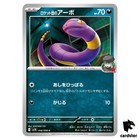 Team Rocket's Ekans