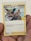 Professor Burnet