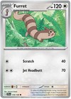Furret