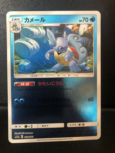 Wartortle