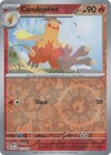 Combusken