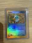 Mudkip