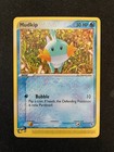 Mudkip