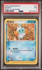 Mudkip