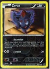 Zorua