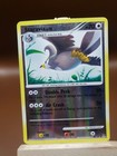 Staravia