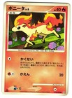 Ponyta