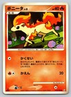 Ponyta