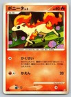 Ponyta