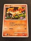 Ponyta
