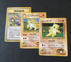 Sandslash