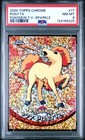 Ponyta