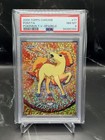 Ponyta