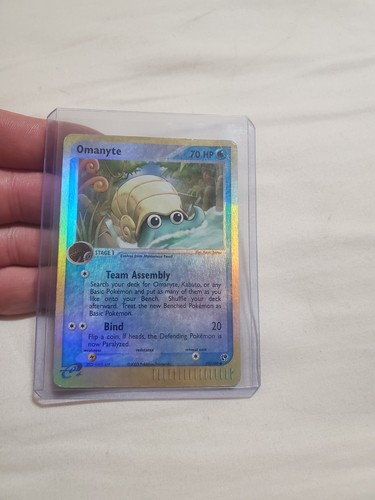 Omanyte