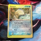 Omanyte
