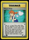 Misty's Wish