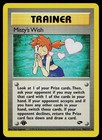 Misty's Wish