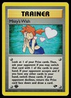 Misty's Wish