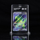 Iron Thorns ex