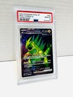 Iron Thorns ex