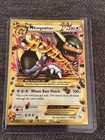 M Kangaskhan EX