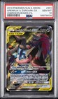 Greninja & Zoroark GX
