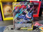Greninja & Zoroark GX