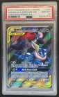 Greninja & Zoroark GX