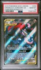 Greninja & Zoroark GX