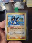 Swampert