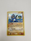 Swampert