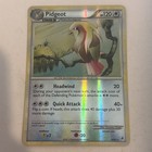 Pidgeot