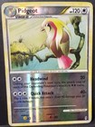 Pidgeot