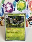 Ninjask
