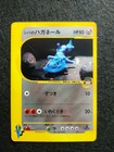 Bruno's Steelix