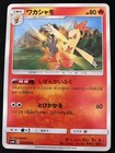 Combusken