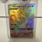 Mewtwo & Mew GX
