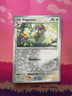 Pidgeotto