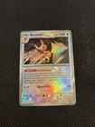 Noctowl