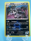 Team Aqua's Mightyena