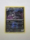 Team Aqua's Mightyena