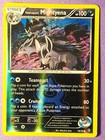 Team Aqua's Mightyena