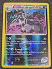Team Aqua's Mightyena