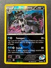Team Aqua's Mightyena