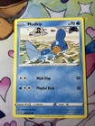 Mudkip