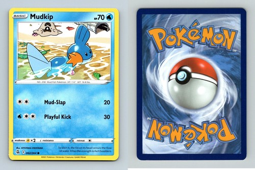 Mudkip