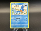 Mudkip
