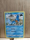 Mudkip