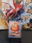 Darumaka